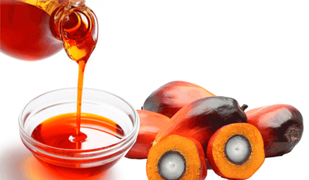 Características del aceite de palma